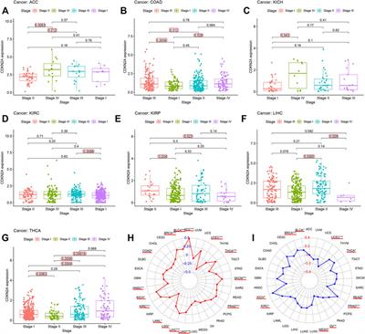 Comprehensive Analysis Revealed that CDKN2A is a Biomarker for Immune Infiltrates in Multiple Cancers